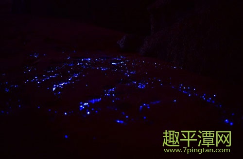 平潭藍眼淚